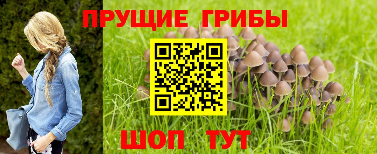 Галлюциногенные грибы мицелий Сарапул