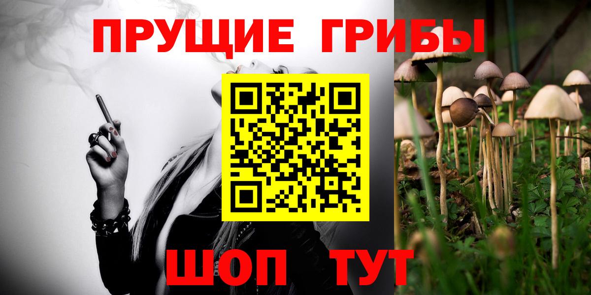 Сарапул  Псилоцибиновые грибы Cubensis  Вход с VPN 